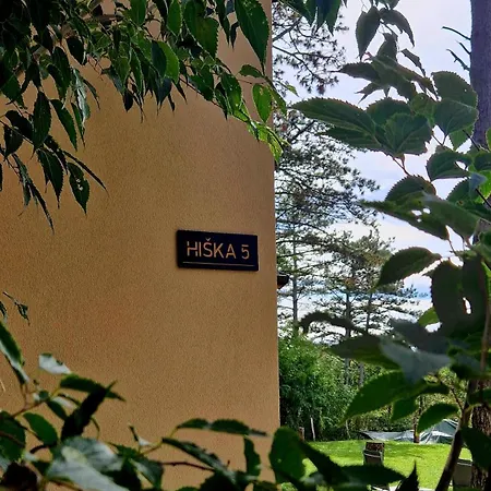 Pinja Gozdne Hiske *