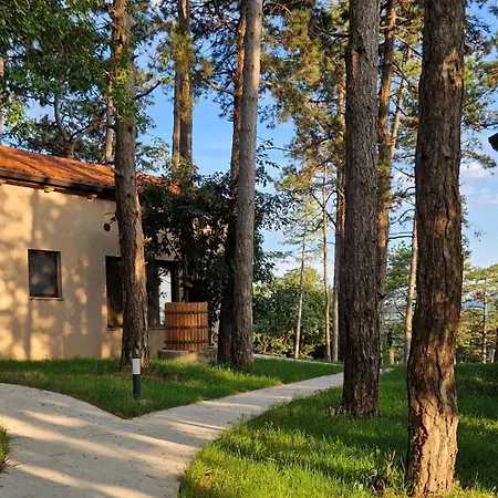 Pinja Gozdne Hiske Casa de Férias *